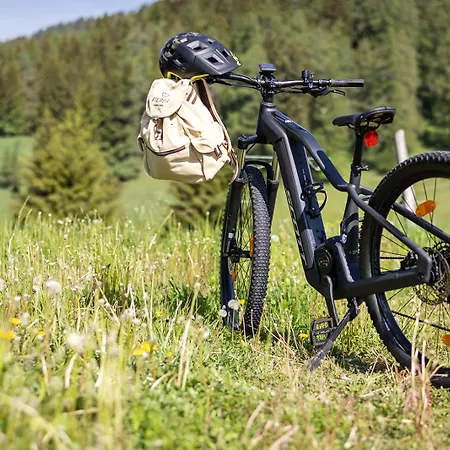 Almwellness Pierer 4* Fladnitz an der Teichalm