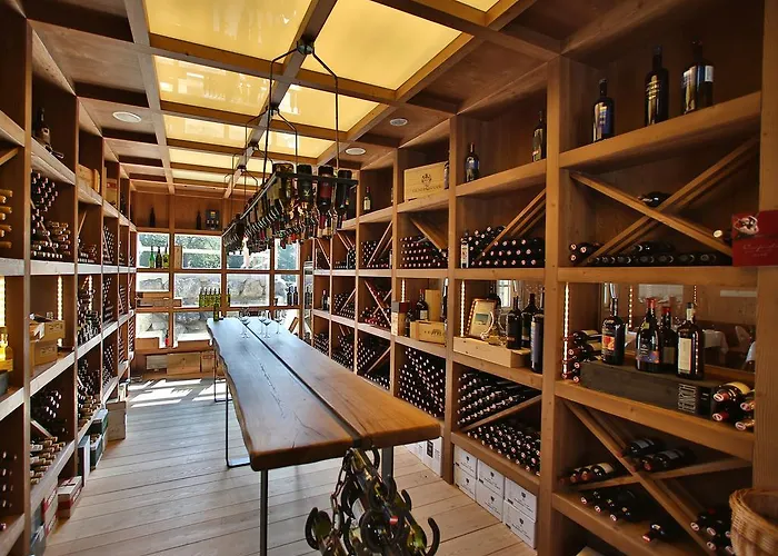 Almwellness Pierer فلادنيتز أن دير تايشالم