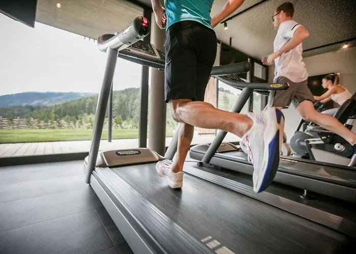 Almwellness Pierer فلادنيتز أن دير تايشالم