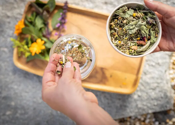 Almwellness Pierer فلادنيتز أن دير تايشالم